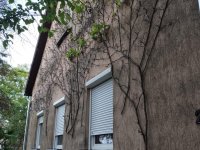 Eladó családi ház, Csanádpalotán, Petőfi utcában 21 M Ft