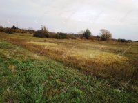 Eladó mezogazdasagi ingatlan, Berhidán 11.9 M Ft