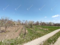 Eladó telek, Kisbéren 7.9 M Ft / költözzbe.hu
