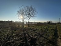 Eladó telek, Balatonvilágoson 50 M Ft / költözzbe.hu