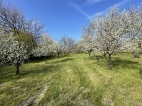 Eladó családi ház, Komáromban 45.9 M Ft / költözzbe.hu