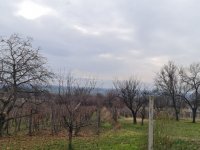 Eladó családi ház, Harkányban 11 M Ft, 1 szobás