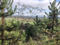 Eladó telek, Mogyorósbányán 5 M Ft / költözzbe.hu