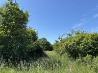 Eladó telek, Piliscséven 3.2 M Ft / költözzbe.hu