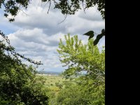 Eladó telek, Budakalászon 90 M Ft / költözzbe.hu