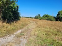 Eladó telek, Tokodon, Kossuth Lajos utcában 9 M Ft