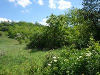 Eladó mezogazdasagi ingatlan, Isaszegen 3.9 M Ft