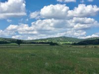 Eladó mezogazdasagi ingatlan, Balatonszőlősön 64 M Ft