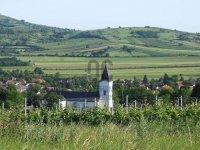 Eladó telek, Bodrogkeresztúron 60 M Ft / költözzbe.hu