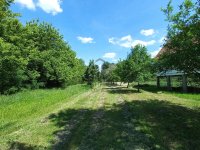 Eladó telek, Tiszacsegén 3.4 M Ft / költözzbe.hu
