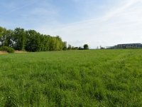 Eladó telek, Alsóörsön 18.9 M Ft / költözzbe.hu
