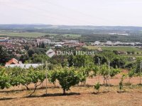 Eladó telek, Pécsett 2.5 M Ft / költözzbe.hu