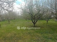 Eladó telek, Győrzámolyon 28 M Ft / költözzbe.hu