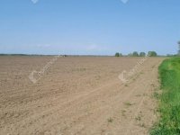 Eladó mezogazdasagi ingatlan, Tiszabőn 23.9 M Ft