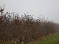 Eladó mezogazdasagi ingatlan, Márokpapin 5.8 M Ft