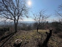 Eladó mezogazdasagi ingatlan, Miskolcon 11.9 M Ft