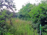 Eladó telek, Pócsmegyeren 23.9 M Ft / költözzbe.hu