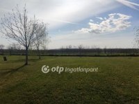 Eladó családi ház, Tiszasason 64.99 M Ft, 3 szobás