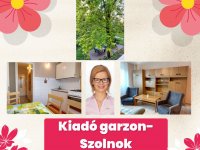 Kiadó panellakás, albérlet, Szolnokon 100 E Ft / hó, 1 szobás