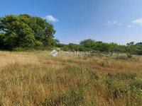 Eladó mezogazdasagi ingatlan, Balatonudvariban 4.9 M Ft