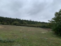 Eladó telek, Magyaralmáson 6.5 M Ft / költözzbe.hu