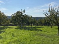 Eladó telek, Cserszegtomajon, Akácfa utcában 25.8 M Ft