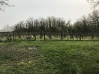 Eladó telek, Zókon 1.2 M Ft / költözzbe.hu