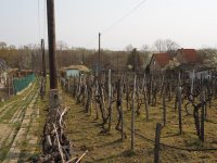 Eladó telek, Szekszárdon 35 M Ft / költözzbe.hu