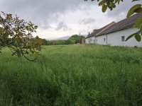 Eladó telek, Pellérden 15 M Ft / költözzbe.hu