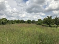 Eladó telek, Székesfehérvárott 53 M Ft / költözzbe.hu