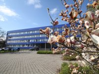 Kiadó hotel, Tatabányán 90 E Ft / hó / költözzbe.hu