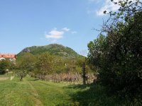 Eladó telek, Gyulakeszin 23 M Ft / költözzbe.hu