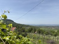 Eladó nyaraló, Tapolcán 30 M Ft, 1 szobás / költözzbe.hu