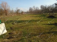 Eladó családi ház, Cserkeszőlőn 16 M Ft, 2 szobás