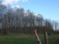 Eladó mezogazdasagi ingatlan, Nagykőrösön 52 M Ft