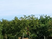 Eladó telek, Balatonföldváron 42 M Ft / költözzbe.hu