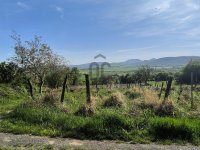 Eladó mezogazdasagi ingatlan, Szentbékkállán 24.9 M Ft