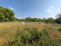 Eladó mezogazdasagi ingatlan, Balatonudvariban 7.9 M Ft