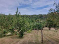 Eladó telek, Balatongyörökön 28 M Ft / költözzbe.hu