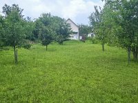 Eladó mezogazdasagi ingatlan, Szekszárdon 6.9 M Ft, 1 szobás