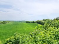 Eladó telek, Csabdiban 59.9 M Ft / költözzbe.hu