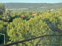 Kiadó téglalakás, albérlet, Tatabányán 160 E Ft / hó