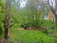 Kiadó téglalakás, albérlet, I. kerületben 220 E Ft / hó