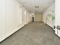 Kiadó iroda, Szegeden 4800 E Ft / hó, 9 szobás