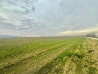 Eladó telek, Pomázon 55 M Ft / költözzbe.hu