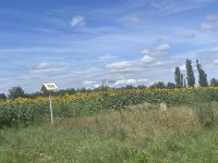 Eladó telek, Székesfehérvárott 55 M Ft / költözzbe.hu