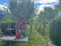 Eladó mezogazdasagi ingatlan, Győrött 9.9 M Ft