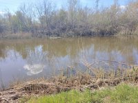Eladó mezogazdasagi ingatlan, Bugyin 3.5 M Ft