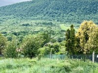 Eladó telek, Pilisszentkereszten 55 M Ft / költözzbe.hu