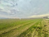 Eladó telek, Pomázon 55 M Ft / költözzbe.hu